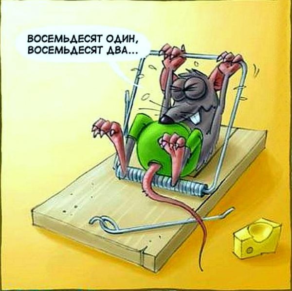 Поймать мыша не удалось