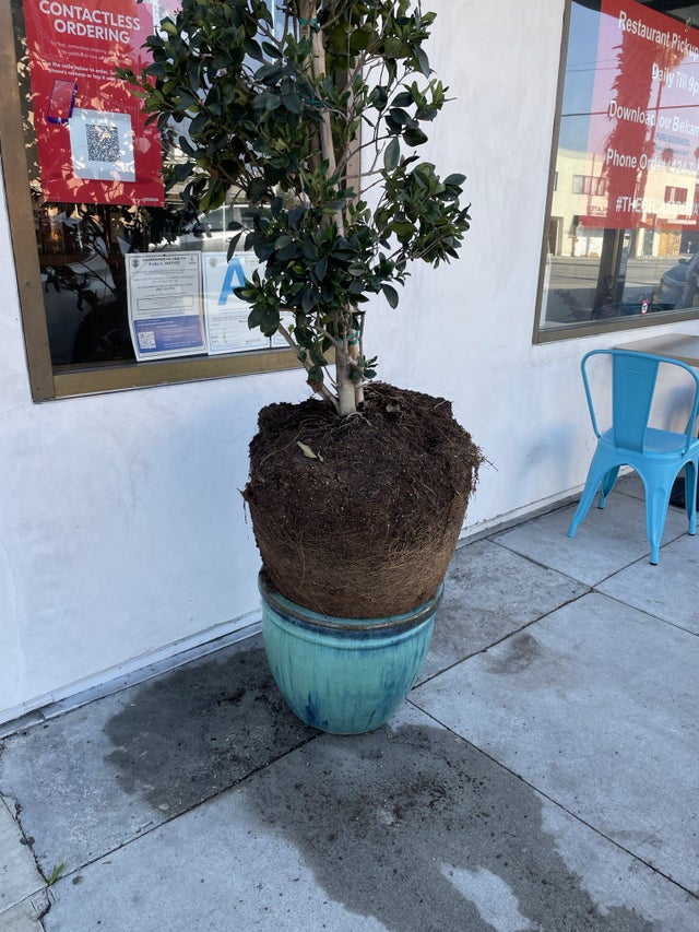 17 людей, которым доверили простую работу, но они и тут умудрились облажаться