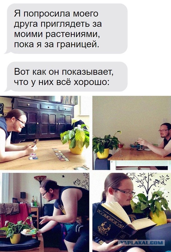 Картинки и мемы для настроения - 22