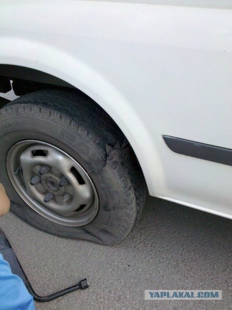 Отчет о поездке во Вьетнам