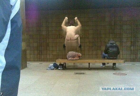 Фотожаба. Фотосессии в стиле ню...