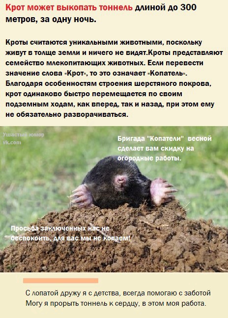 Так себе картинки 24.04.22