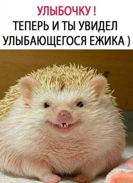 Фото-винегрет-5. Картинки ниапчём и обо всём