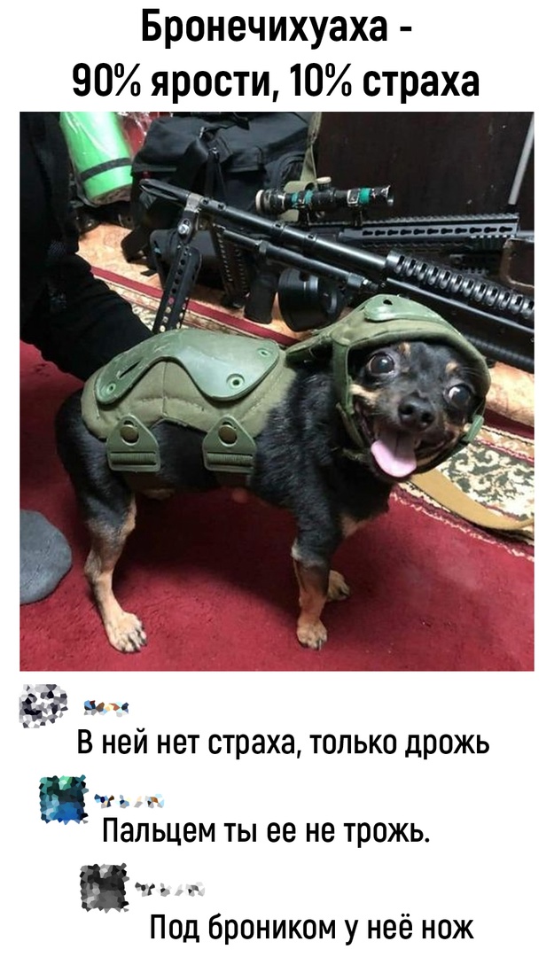 Так себе картинки 18.05.22