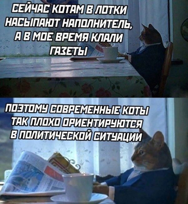 Смешные картинки 07.06.2022
