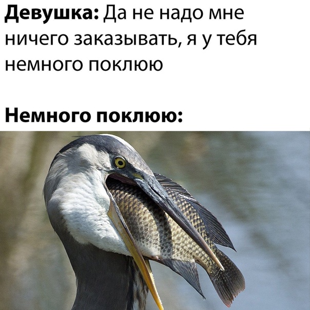 Картинки и мемы для настроения - 19