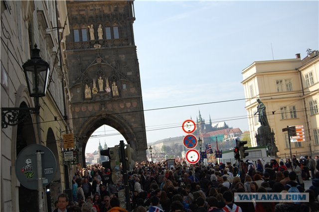 Пивная Прага