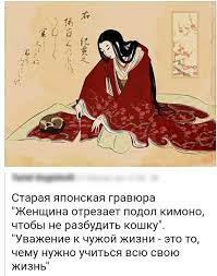 Стамбульские коты
