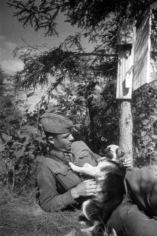 Фотографии второй мировой, многие цветные (фото)
