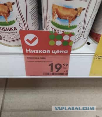 Опять про огурцы