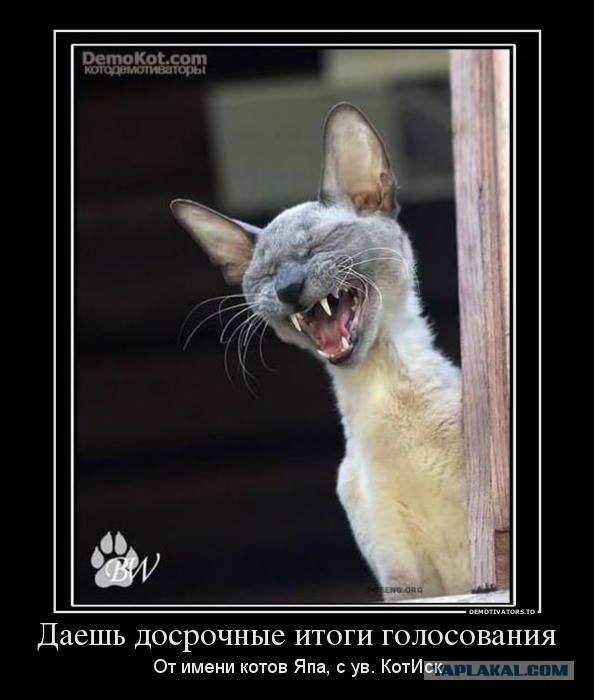 КОКС-1001.2