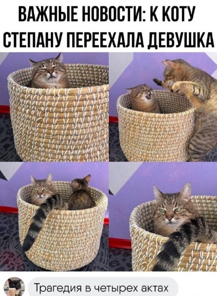 Всего понемногу 24.05
