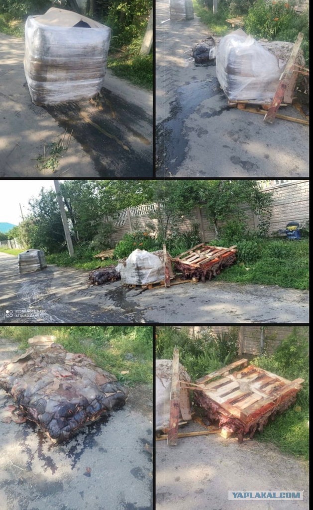 Для тех, кто ждёт, когда Россия выйдет из ВОЗ...