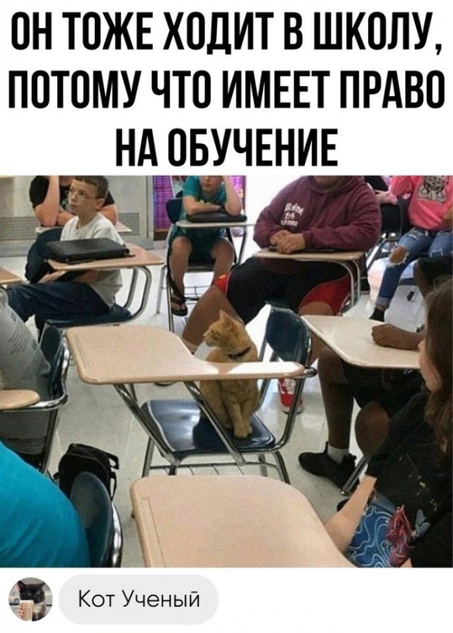 Так себе картинки 01.08.23