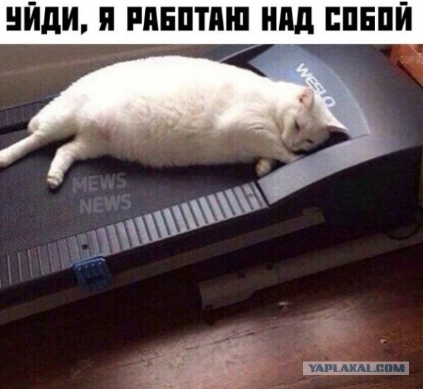 «Я могу быть невинной хоть сто раз». Капсулы девственности покорили Азию