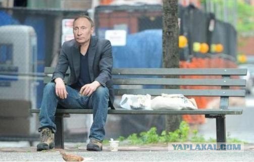 Грустный какойто, на лиса  похож