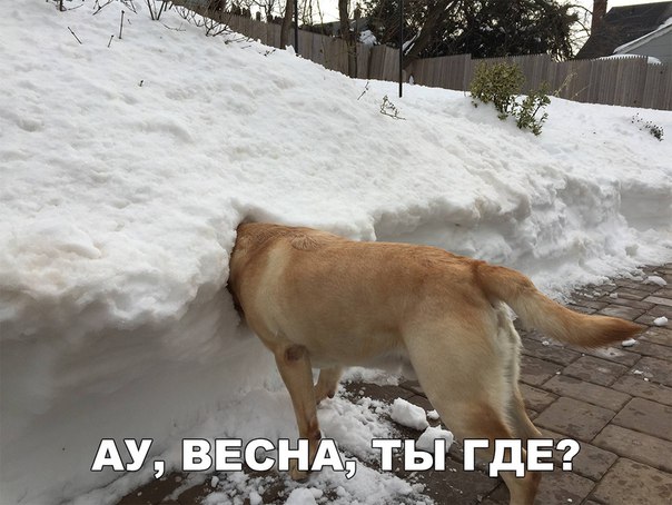 ТРРРидцать тРРРи от 7 мая