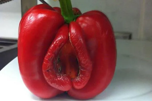 ФотоВинегрет