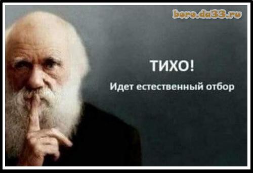 Отзыв об одной из московских школ...