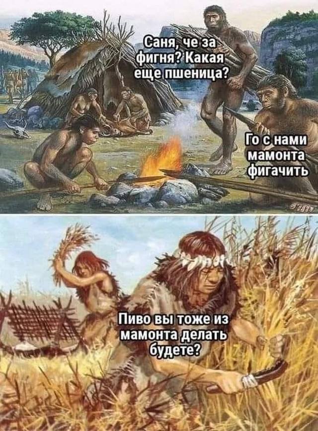 Завалялось тут случайно немного забавных картинок