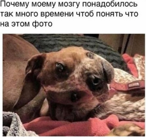 Завалялось тут случайно немного забавных картинок