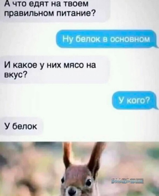 Так себе картинки 20.10.24