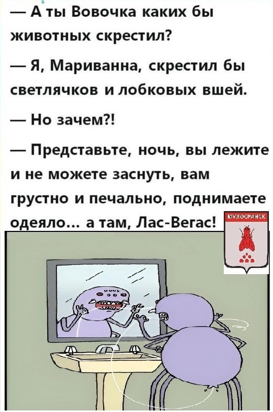 Весёлый полтишок 10.12.24