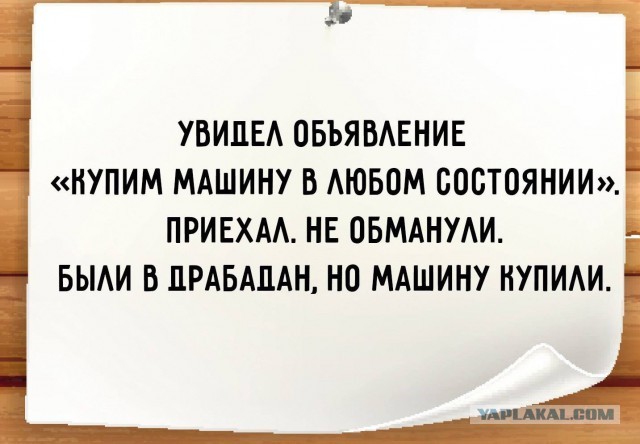 Веселые картинки в пятницу (07.02)