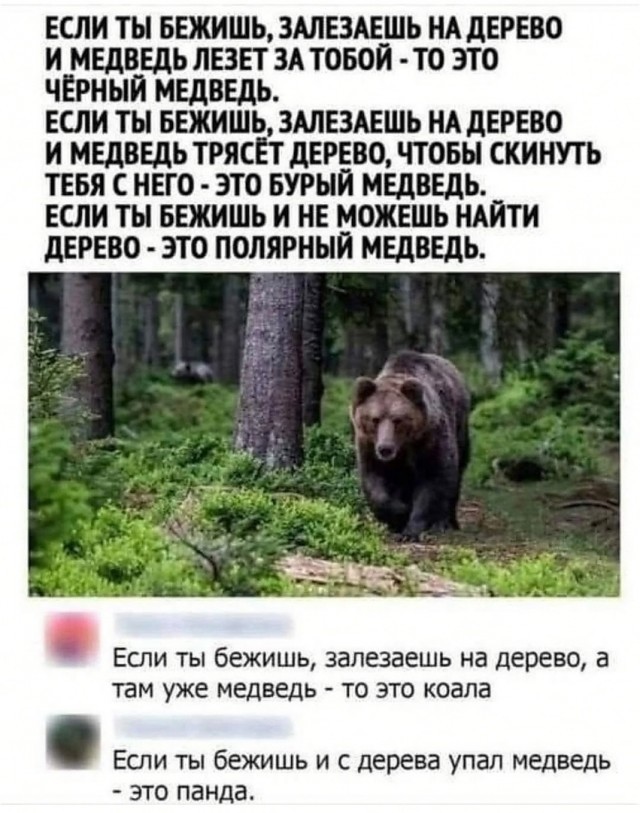 Так себе картинки 11.02.25