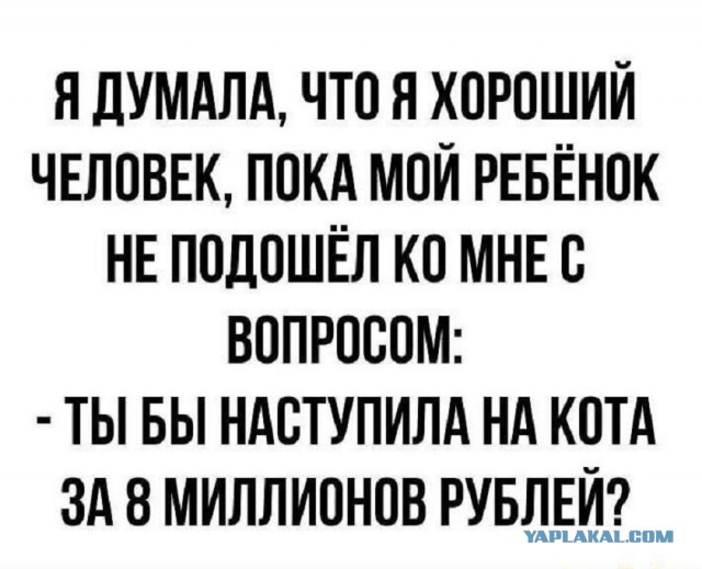Так себе картинки 21.05.25