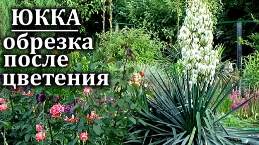 А вспомним Михаила Муромова, не только Яблоки на снегу, а другие песни