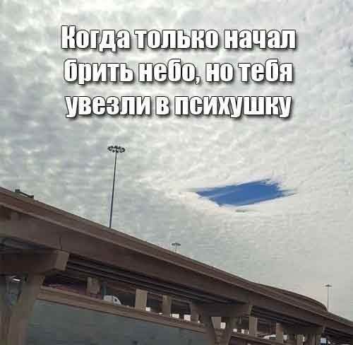 Веселые картинки в пятницу (06.06)