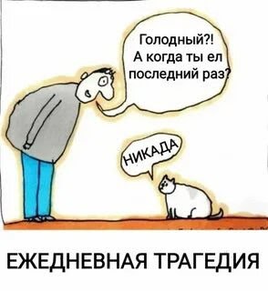 Кошачья сущность