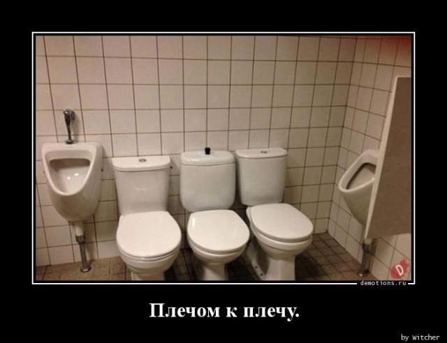 Картинки для деградации 71 (разной степени свежести)