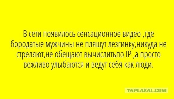 Веселое настроение в картинках (20.11.2025)