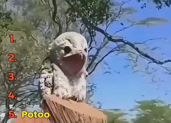 Чык-чырык