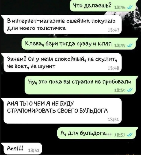 Юмор в картинках и без