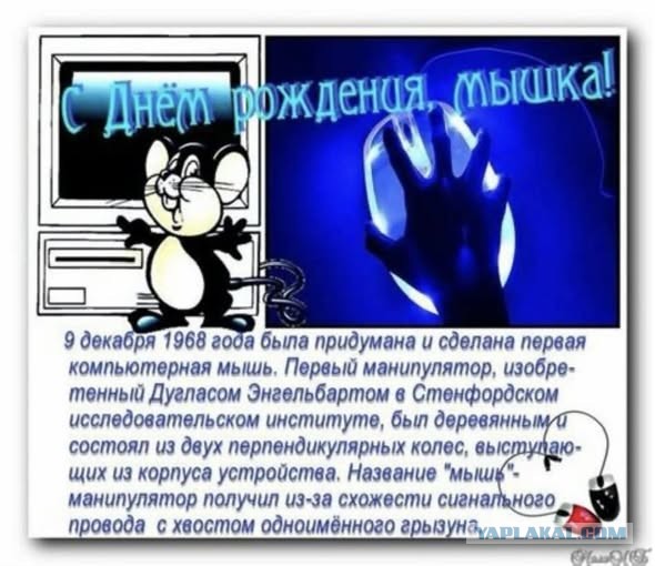 Прикольные и просто красивые картинки 12.12.2025