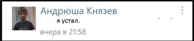 Украинка, живя в обычной квартире, купила волка по объявлению