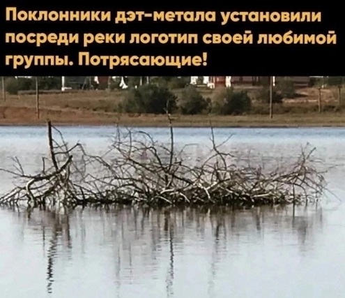 В интернете все смелые