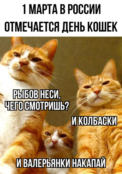 Воскресные картинки