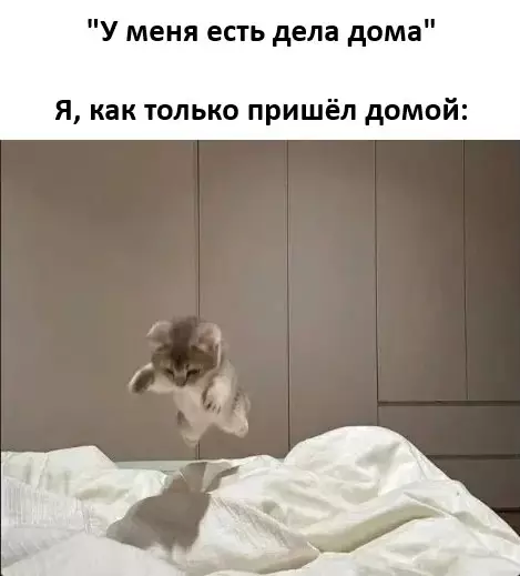 Картиночки, баянчики 10 марта