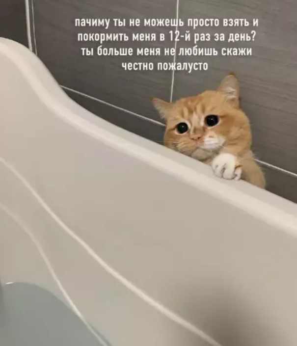 Картиночки, баянчики 14 марта