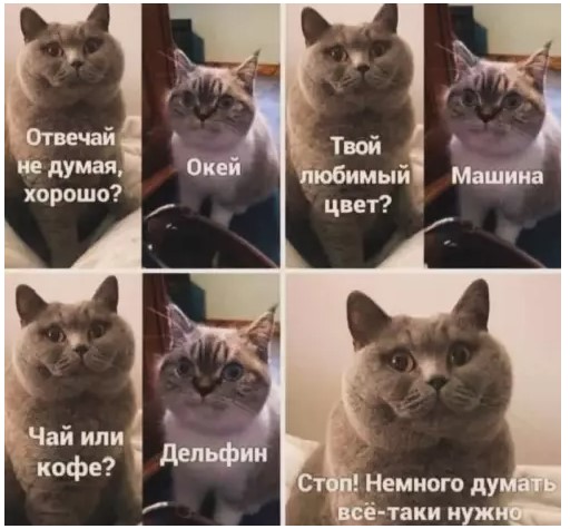 Пакет брать будете?