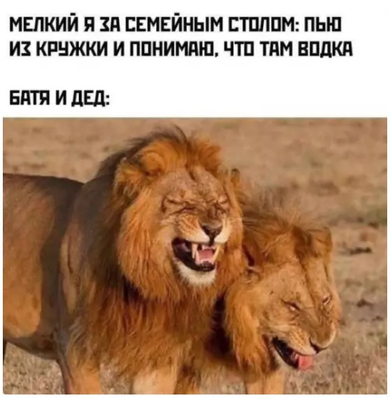 Картиночки, баянчики 26 мая