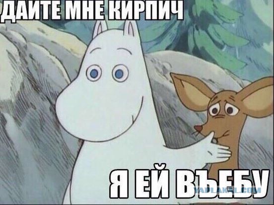Сова...это тебе.