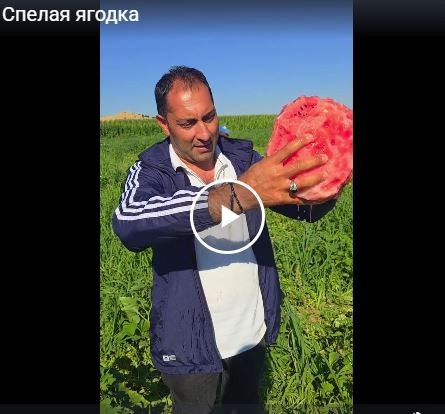 Спелая ягодка