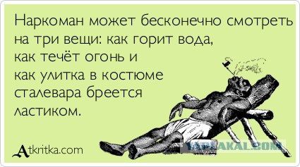 Лучшие  «аткрытки»года