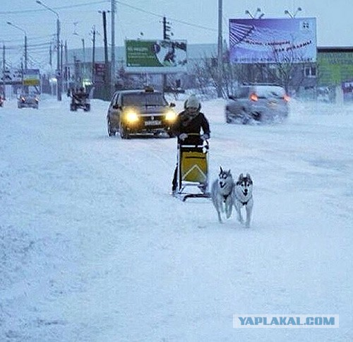 Вышел за хлебом