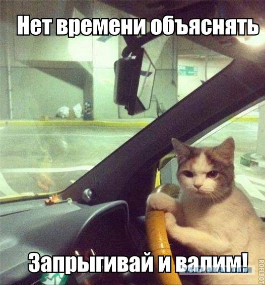 Как сберечь свою кредитку от воров при потере